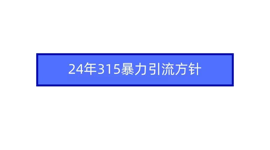 (9398期)2024年315暴力引流方针-好客网创