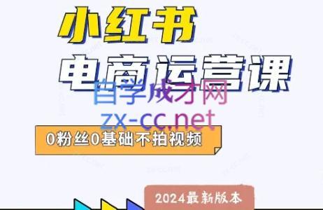达哥·小红书电商运营(2024版)-好客网创