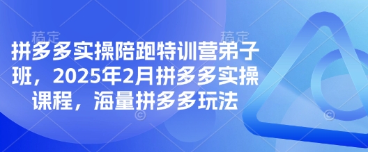 拼多多实操陪跑特训营弟子班，2025年2月拼多多实操课程，海量拼多多玩法-好客网创