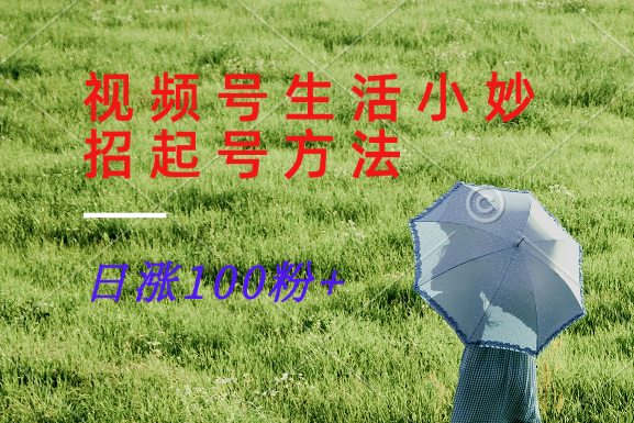 视频号生活小妙招分享赛道， 起号涨粉新方法，日涨100粉-好客网创