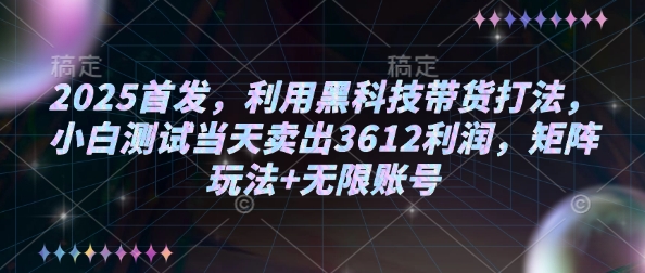 2025首发，利用黑科技带货打法，小白测试当天卖出3612利润，矩阵玩法+无限账号【揭秘】-好客网创