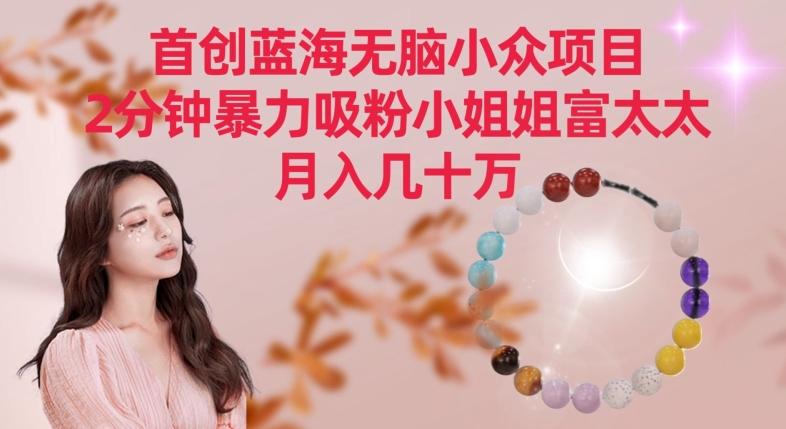 首创蓝海无脑小众项目，2分钟暴力吸粉小姐姐富太太，月入几十万【揭秘】-好客网创